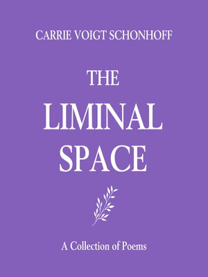 cover image of The Liminal Space